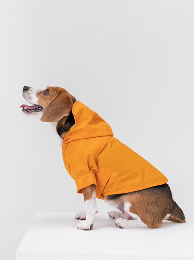 Tribeca adjustable velcro raincoat - Sunflower