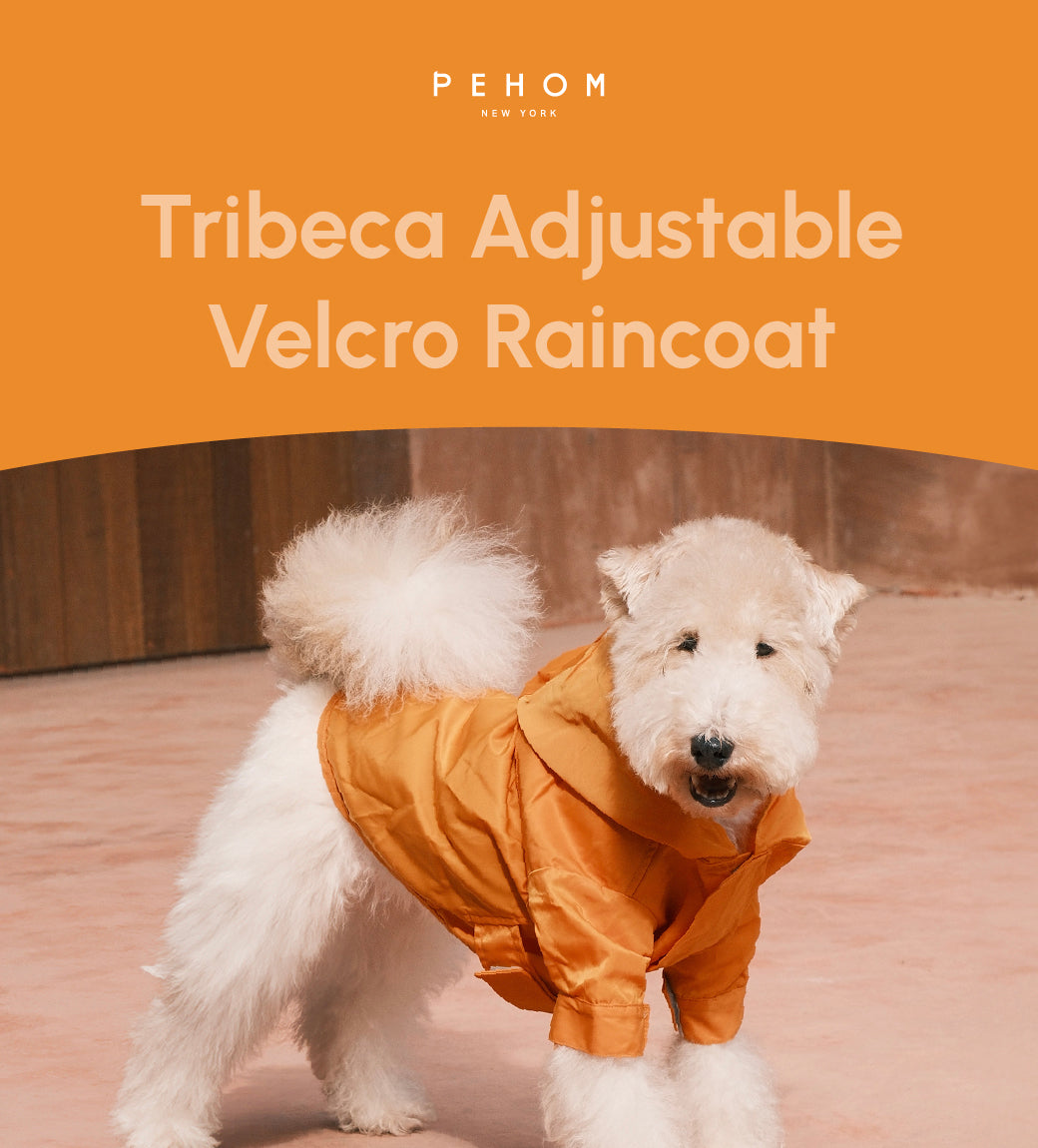 Tribeca adjustable velcro raincoat - Sunflower